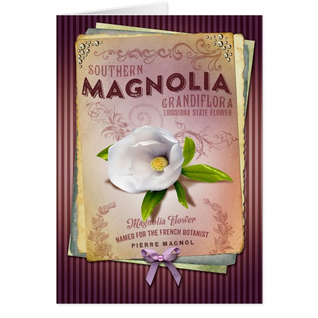 NOLA-Sammlungs-Louisiana-Magnolien-Blumen-Kunst (Vorne)