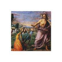 Noli Mi Tangere von Franciabigio