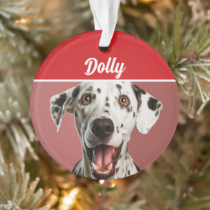 Nom de chien dalmatien Photo Vacances Noël