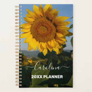 nom de la photo de tournesol
