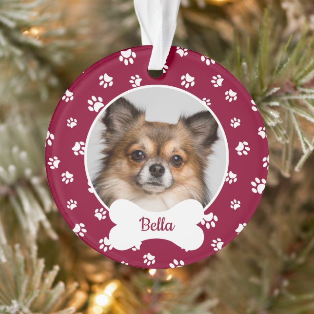 Nom de l'os de chien mignon Année Empreintes de pa (Arbre)