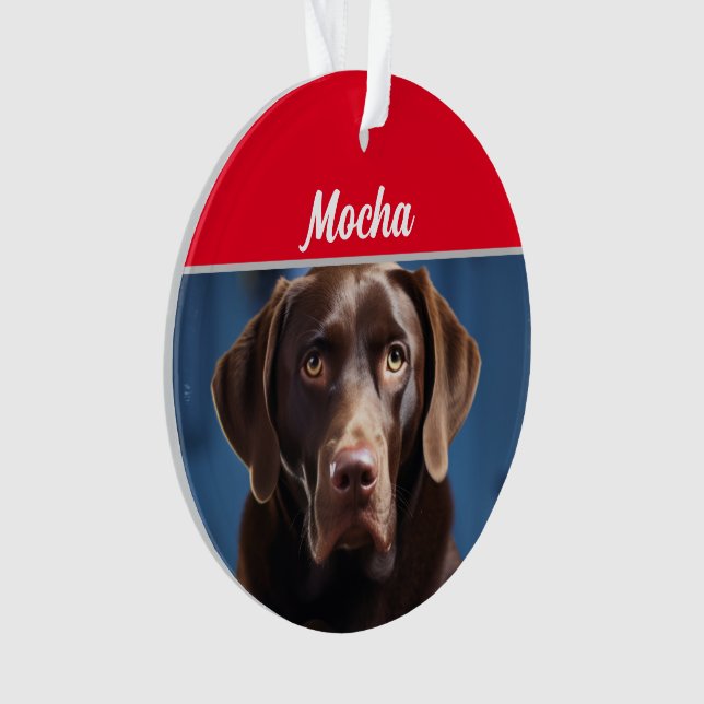 Nom du chien Chocolat Labrador Photo de chien Noël (devant)