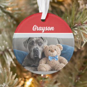 Nom du chien du grand Danois Photo de Noël