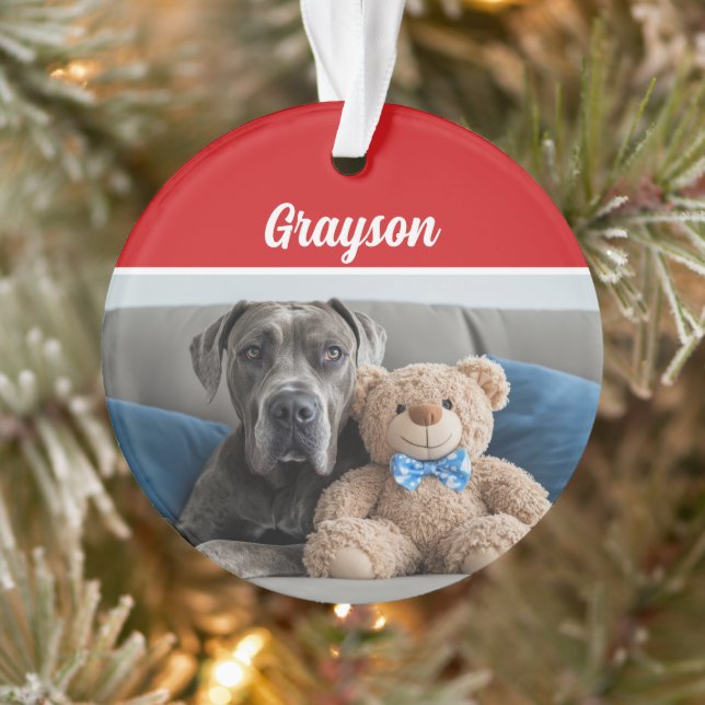 Nom du chien du grand Danois Photo de Noël (Arbre)
