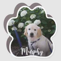 Nom du chien Photo Empreinte de patte de script bl