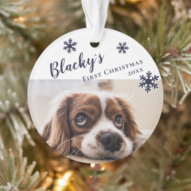 Nom et photo du chien de Noël du chiot (Arbre)