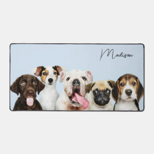 Nom personnalisé des chipies