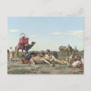 Nomaden in der Wüste, 1861 Postkarte