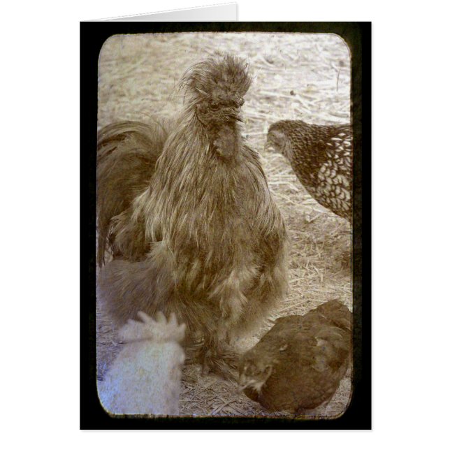 Nombre de couleurs (Devant)