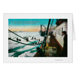 Nome, Alaska-Dampfer Corwin, das Fracht entlädt