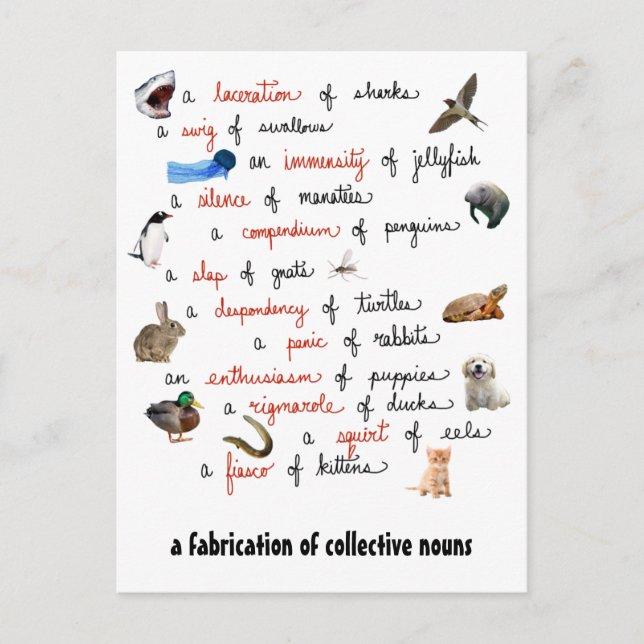 Noms collectifs : cartes postales (Devant)