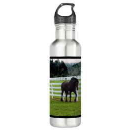 Nonesuch am Cedar Point Edelstahlflasche