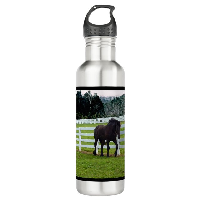 Nonesuch am Cedar Point Edelstahlflasche (Vorderseite)