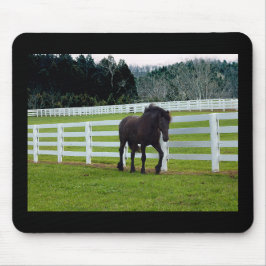 Nonesuch am Cedar Point Mousepad