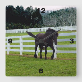 Nonesuch am Cedar Point Quadratische Wanduhr