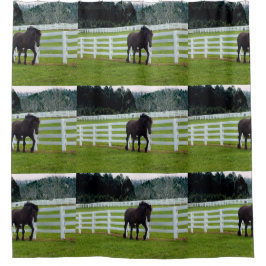 Nonesuch at Cedar Point Duschvorhang