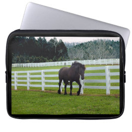 Nonesuch at Cedar Point Laptopschutzhülle