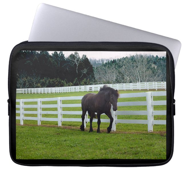 Nonesuch at Cedar Point  Laptopschutzhülle (Vorderseite)