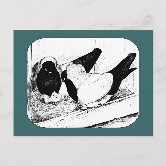 Nonnen 1980 postkarte (Vorderseite)