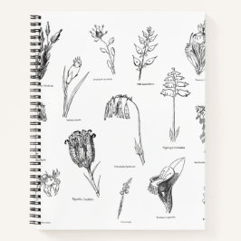 Nonsense Botany-Notebook Notizbuch