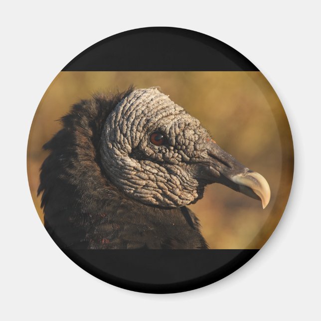 Nooks & Crannies Magnet (Vorne)