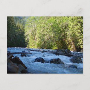 Nooksack River Postkarte