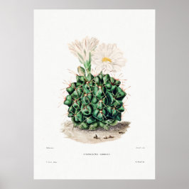 Nopal Zeichn einer Cactus Blume Cactus Pflanze Ima Poster