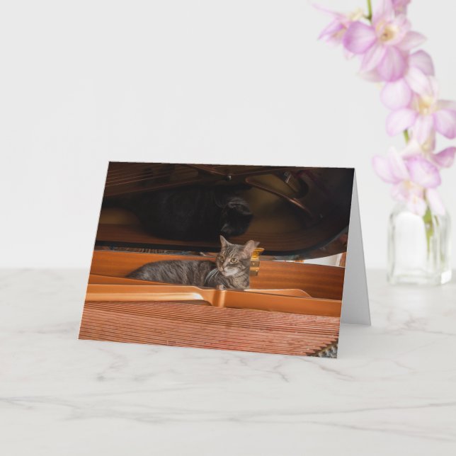 Nora The Piano Cat - Blank Folded Card - Style 003 Karte (Orchidee)
