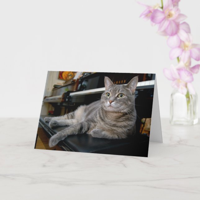 Nora The Piano Cat - Blank Folded Card - Style 005 Karte (Orchidee)