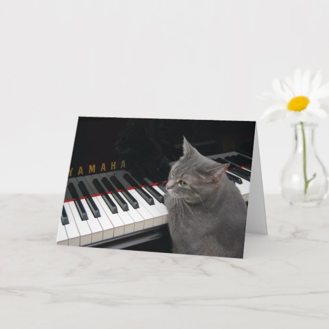 Nora The Piano Cat - Blank geklappte Karte - Stil  (Kleine Pflanze)