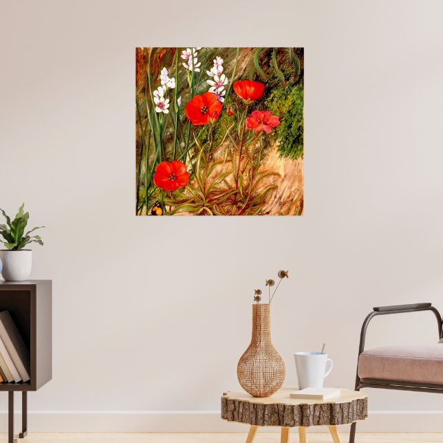 Nord - ein südafrikanischer Sundew Poster (Wohnzimmer 3)
