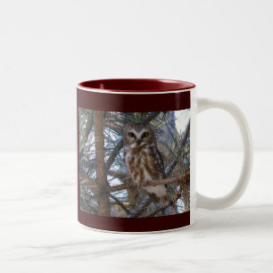 Nord Säge-Whet Eule in der Kiefer Zweifarbige Tasse