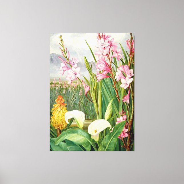 Nord - Schönheiten der Sümpfe, botanische Kunst, Leinwanddruck (Vorderseite)