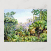 Nord - Waldlandschaft in Westaustralien