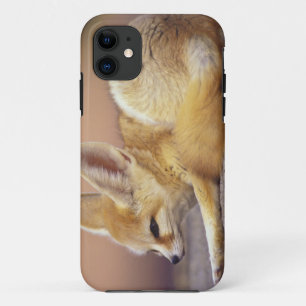Nordafrika. Fennek (Fennecus zerda) Case-Mate iPhone Hülle