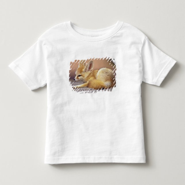 Nordafrika. Fennek (Fennecus zerda) Kleinkind T-shirt (Vorderseite)