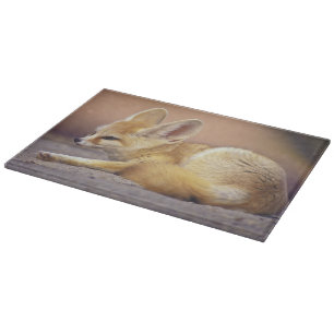 Nordafrika. Fennek (Fennecus zerda) Schneidebrett