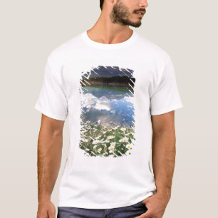 Nordamerika, Kanada, Alberta, Banff National 2 T-Shirt