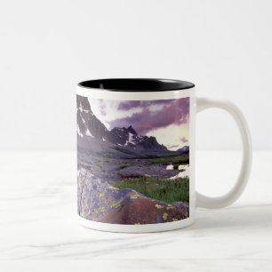 Nordamerika, Kanada, Alberta, Jasper Zweifarbige Tasse