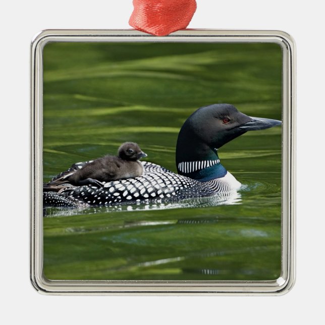 Nordamerika, Kanada, British Columbia, Lac Le Silbernes Ornament (Vorne)