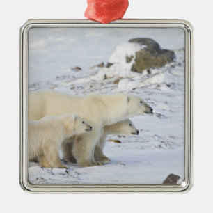 Nordamerika, Kanada, Manitoba, Churchill. 4 Silbernes Ornament