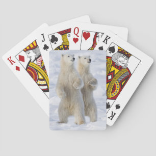 Nordamerika, Kanada, Manitoba, Churchill. 5 Spielkarten