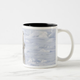 Nordamerika, Kanada, Manitoba, Churchill. 5 Zweifarbige Tasse