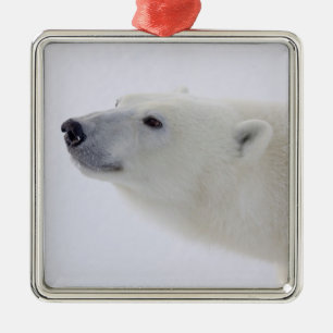 Nordamerika, Kanada, Manitoba, Churchill. 6 Ornament Aus Metall