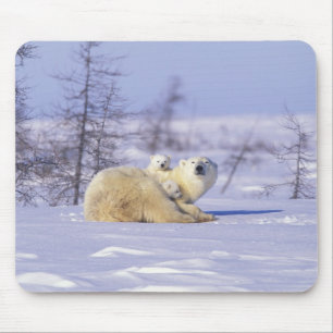 Nordamerika, Kanada, Manitoba, Churchill. 9 Mousepad