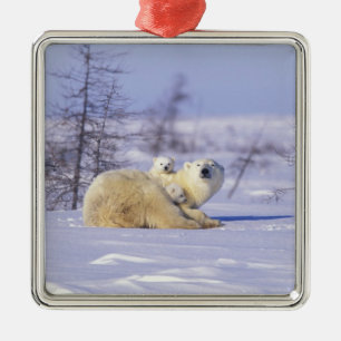 Nordamerika, Kanada, Manitoba, Churchill. 9 Silbernes Ornament