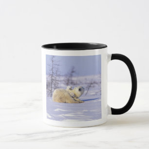 Nordamerika, Kanada, Manitoba, Churchill. 9 Tasse