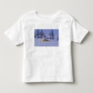 Nordamerika, Kanada, Manitoba, Churchill Kleinkind T-shirt