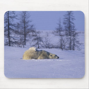 Nordamerika, Kanada, Manitoba, Churchill Mousepad