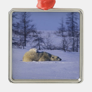 Nordamerika, Kanada, Manitoba, Churchill Ornament Aus Metall
